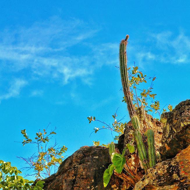 Pousada Chapada Das Mesas Riachao  Экстерьер фото